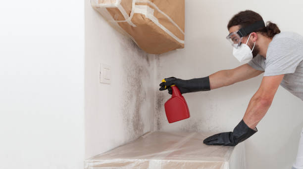 Professional Crawl Space Mold Remediation technician working in Newport, WA