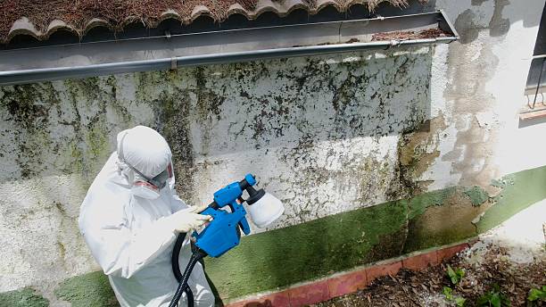 Top rated local Crawl Space Mold Remediation specialists in Newport, WA